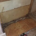 Mold mitigation service in PA